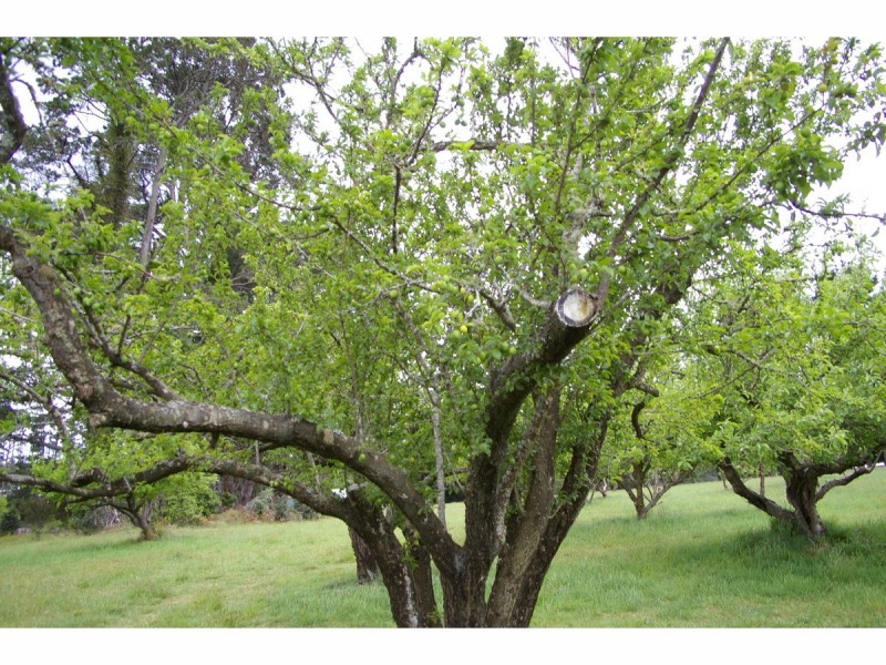 1151 Penrose Road, Penrose NSW 2579