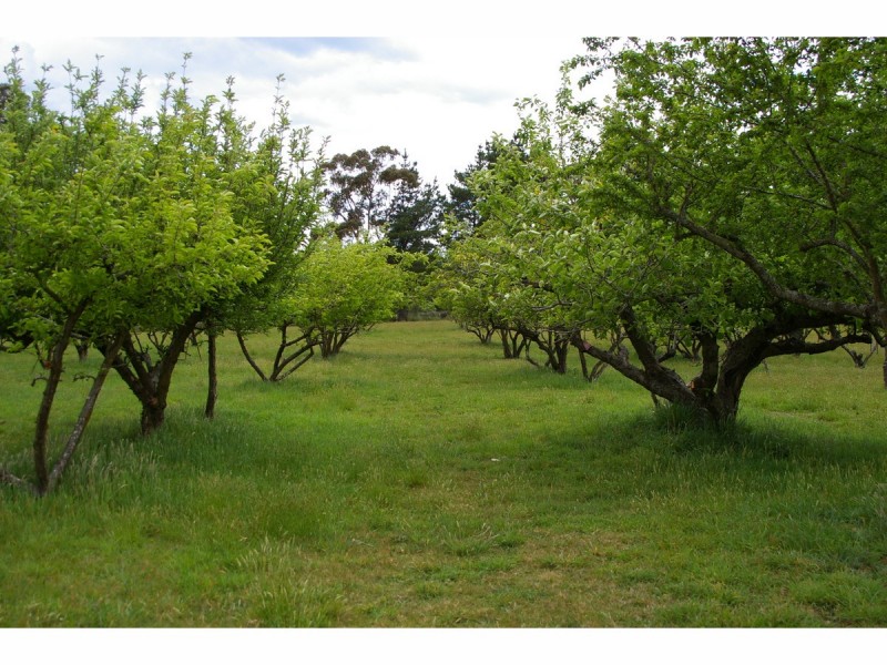 1151 Penrose Road, Penrose NSW 2579