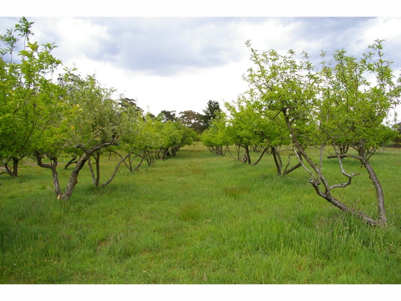 1151 Penrose Road, Penrose NSW 2579