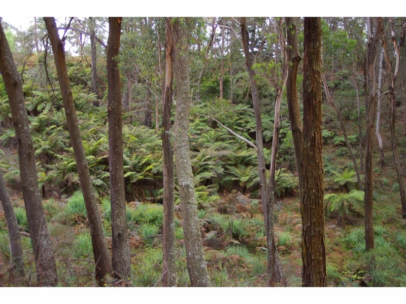 1151 Penrose Road, Penrose NSW 2579