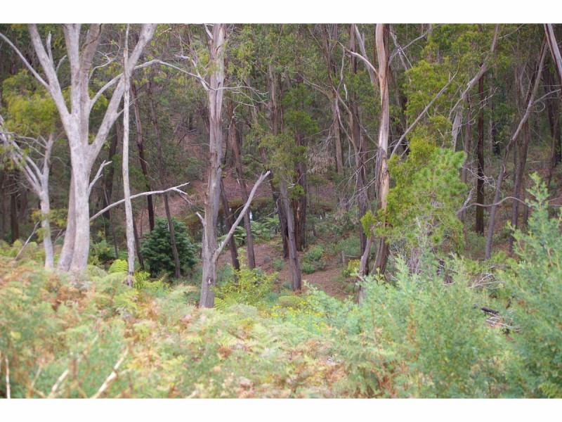 1151 Penrose Road, Penrose NSW 2579