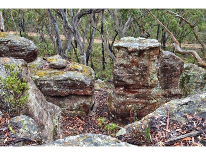 86/383 Foxgrove Road, Canyonleigh NSW 2577