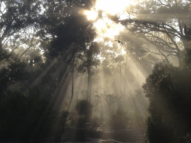 86/383 Foxgrove Road, Canyonleigh NSW 2577