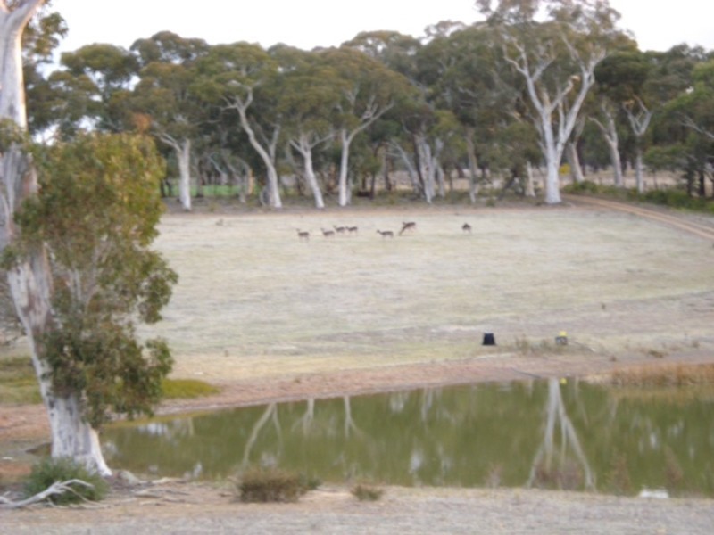 182 Belanglo Road, Sutton Forest NSW 2577