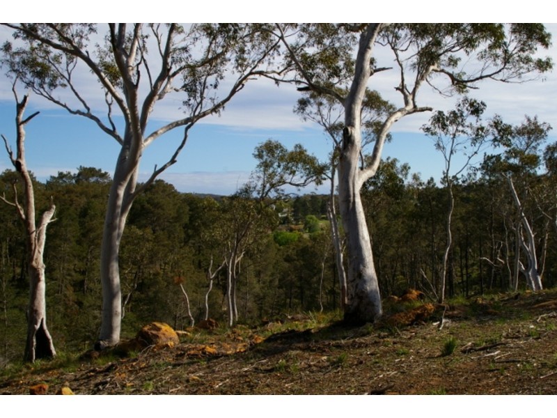 Lot 1,2,5 and 6, Oldbury Street, Berrima NSW 2577