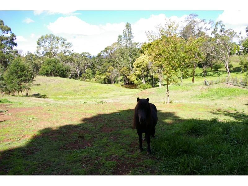 Lot 19, 7 Hill Road, Moss Vale NSW 2577
