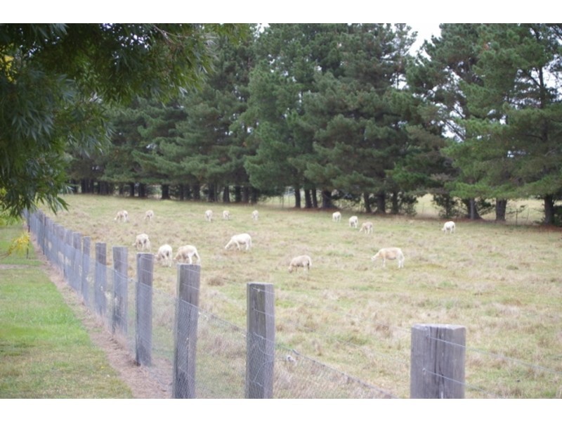 “Drumderry” 3195 Canyonleigh Road, Sutton Forest NSW 2577