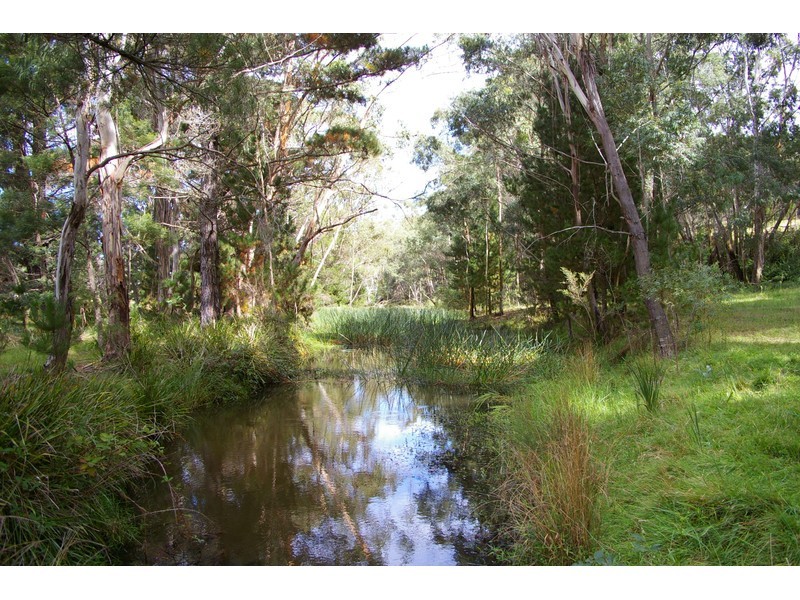 Sugarloaf 273 Old Wingello Road, Tallong NSW 2579