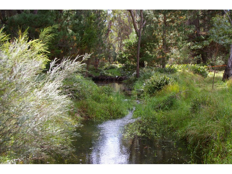 Sugarloaf 273 Old Wingello Road, Tallong NSW 2579