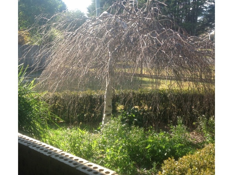 14 Sydney Street, New Berrima NSW 2577