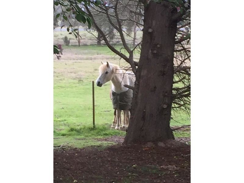 50 Coney Hatch Lane, Sutton Forest NSW 2577