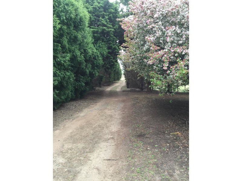 50 Coney Hatch Lane, Sutton Forest NSW 2577