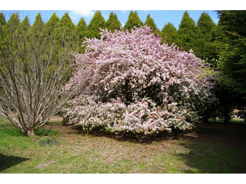 50 Coney Hatch Lane, Sutton Forest NSW 2577