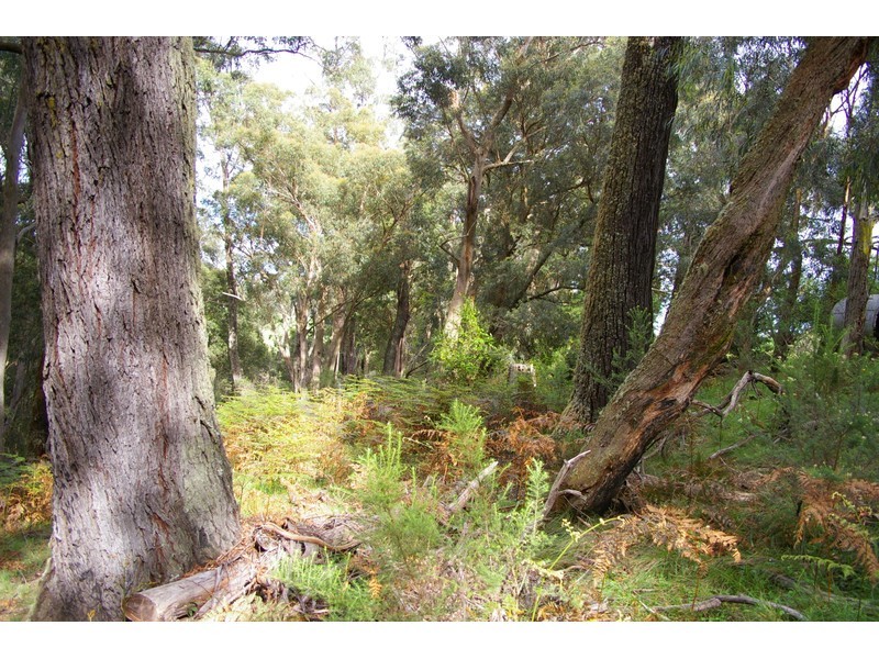 244/ Penrose Road, Penrose NSW 2579