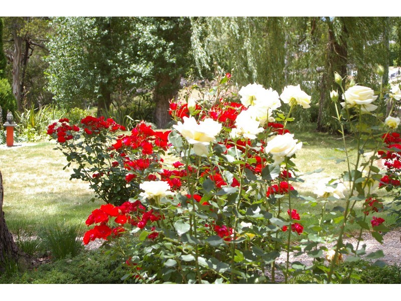 5 Hill Road, Moss Vale NSW 2577