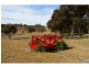 1145 Caoura Road, Tallong NSW 2579