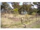 1145 Caoura Road, Tallong NSW 2579