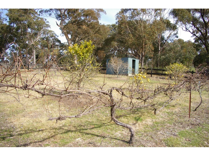 1145 Caoura Road, Tallong NSW 2579