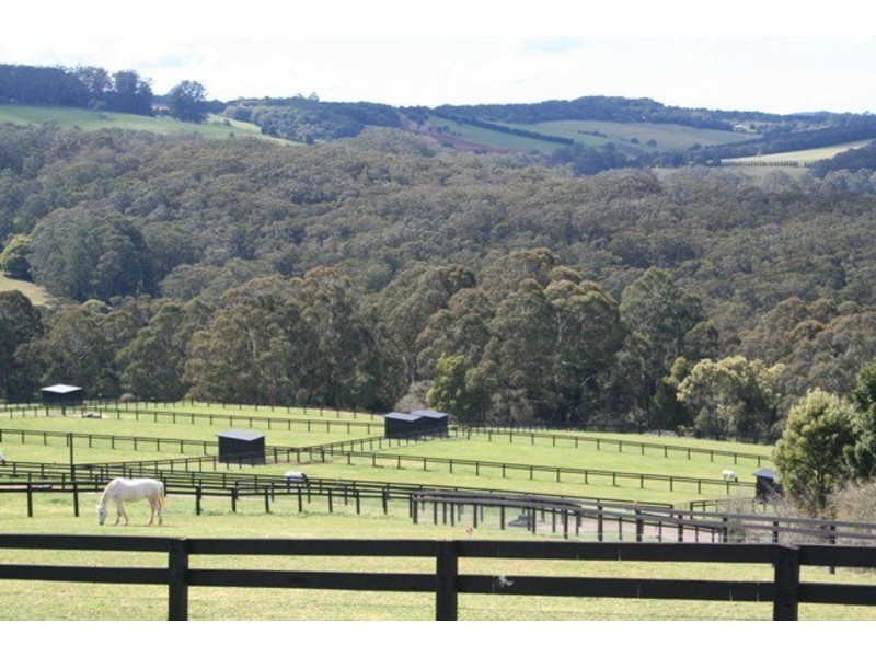 662 Myra Vale Road, Wildes Meadow NSW 2577