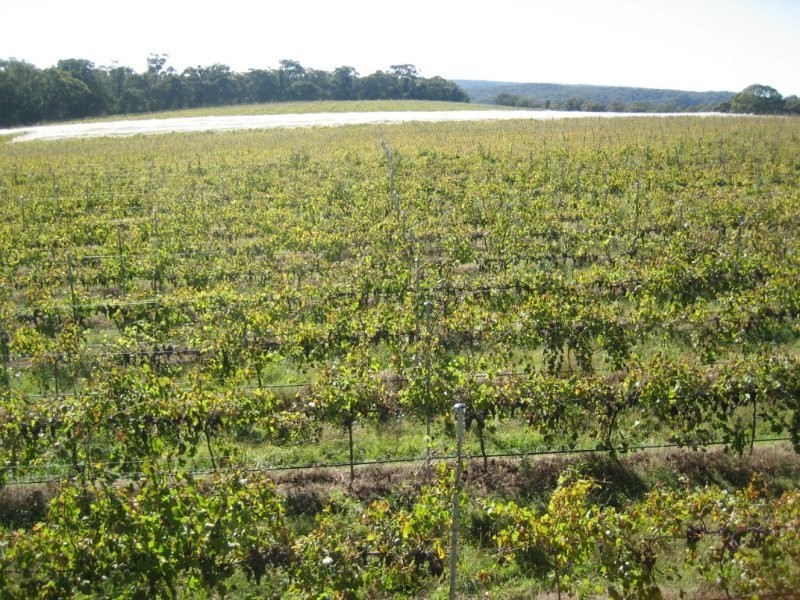 630 Tugalong Road, Canyonleigh NSW 2577