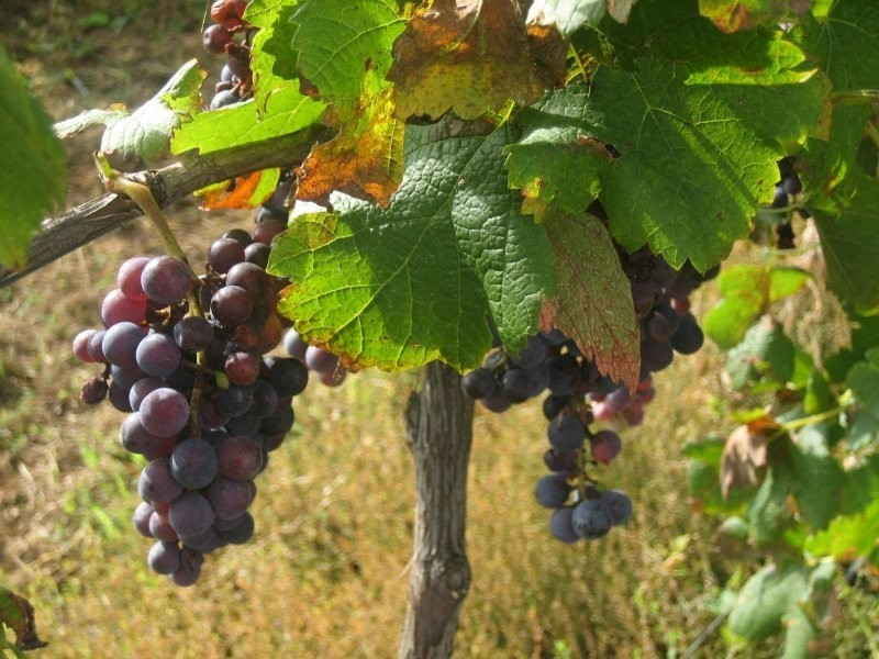 630 Tugalong Road, Canyonleigh NSW 2577