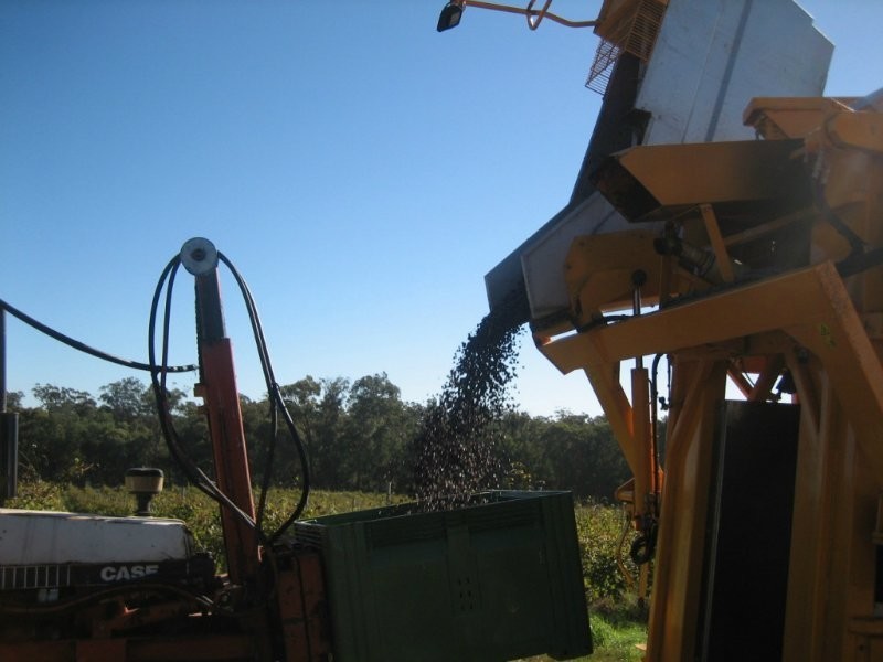 630 Tugalong Road, Canyonleigh NSW 2577