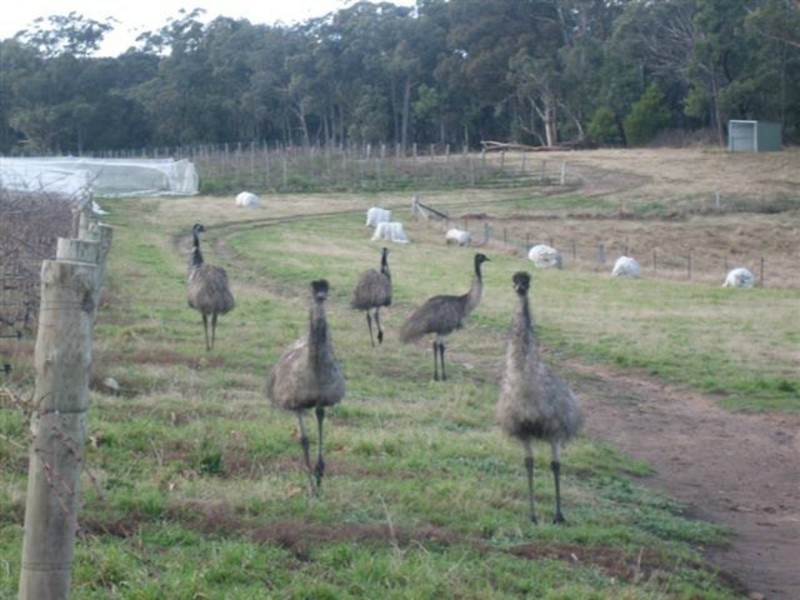 630 Tugalong Road, Canyonleigh NSW 2577