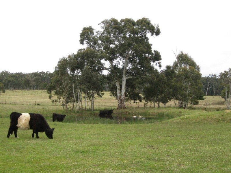 604 Belanglo Road, Sutton Forest NSW 2577