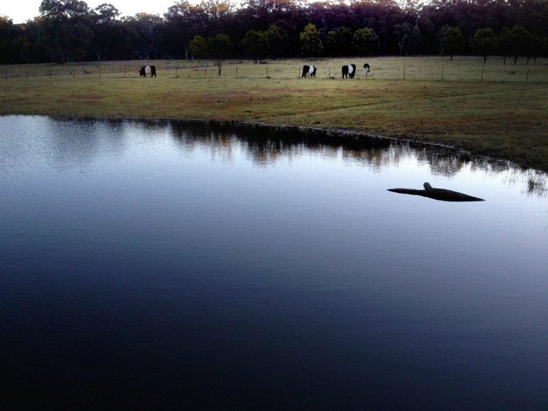 604 Belanglo Road, Sutton Forest NSW 2577