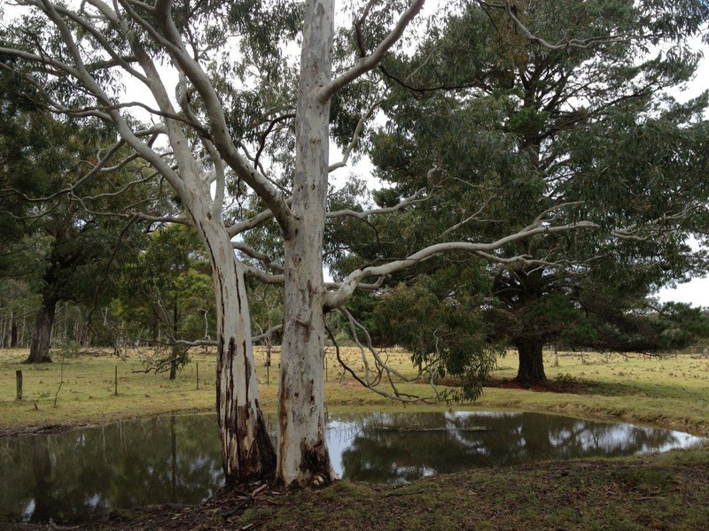 604 Belanglo Road, Sutton Forest NSW 2577