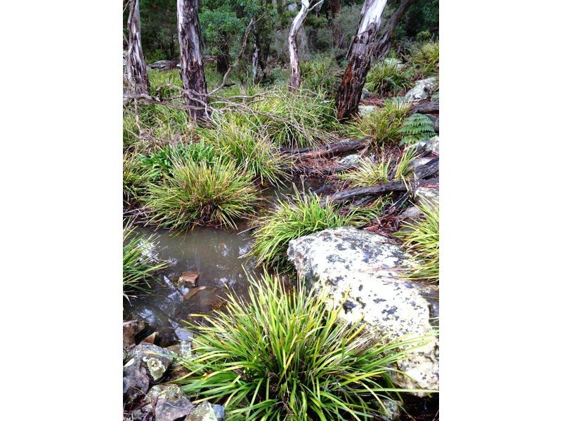 604 Belanglo Road, Sutton Forest NSW 2577