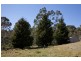 Colo Vale NSW 2575