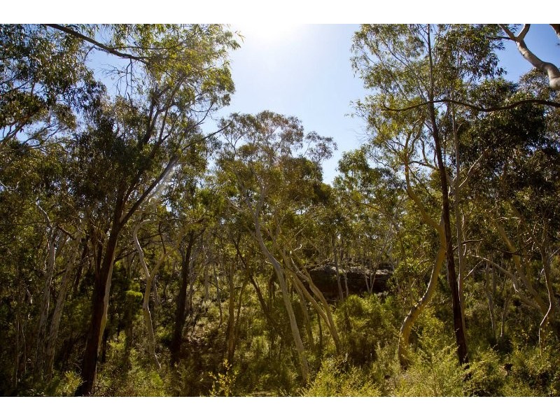 Colo Vale NSW 2575