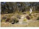 Colo Vale NSW 2575