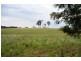 Canyonleigh NSW 2577