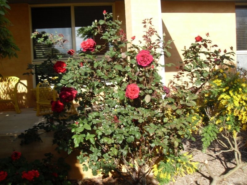 Lot 1 Oak Valley Road, Marulan NSW 2579