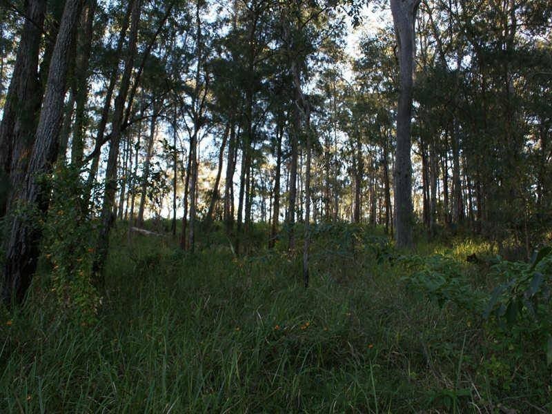48 Roundhill Crescent, Karuah NSW 2324