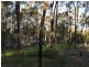 48 Roundhill Crescent, Karuah NSW 2324