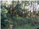23 James Scott Crescent, Lemon Tree Passage NSW 2319