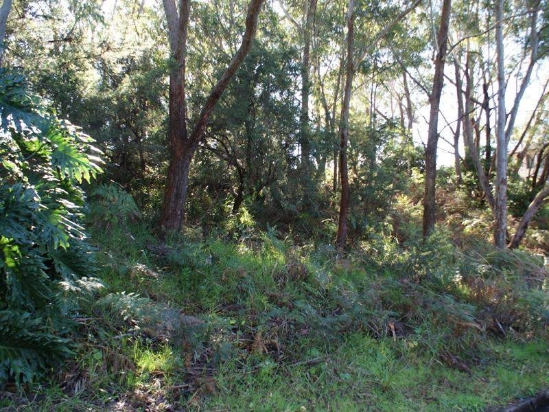 23 James Scott Crescent, Lemon Tree Passage NSW 2319