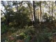 23 James Scott Crescent, Lemon Tree Passage NSW 2319