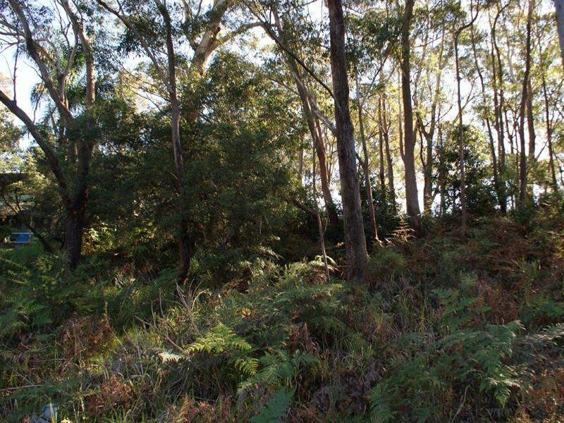 23 James Scott Crescent, Lemon Tree Passage NSW 2319