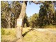 Lot 743 Tenterfield Road, North Arm Cove NSW 2324