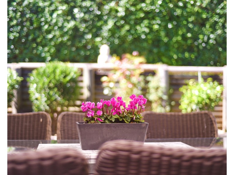 54/18 Buckleys Road, Winston Hills NSW 2153