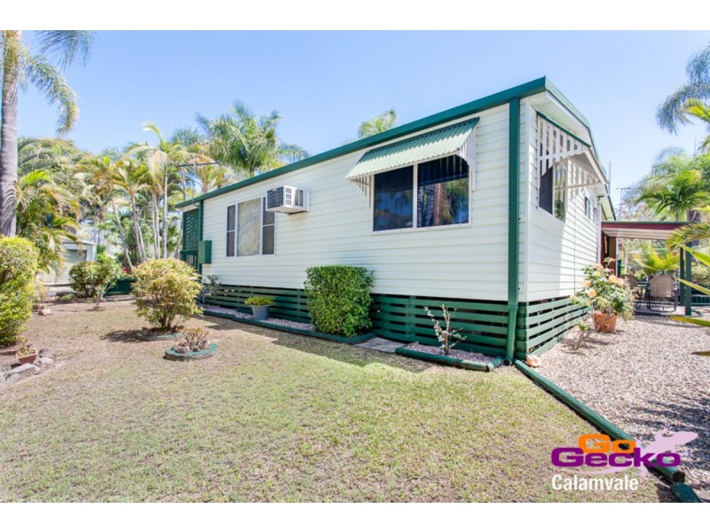 Golden Cane Dr/758 Blunder Road, Durack QLD 4077
