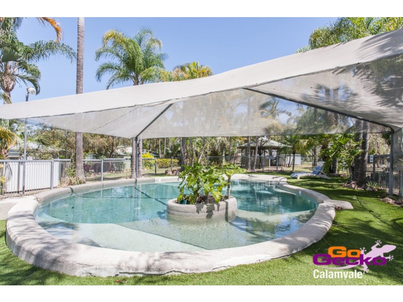 Golden Cane Dr/758 Blunder Road, Durack QLD 4077