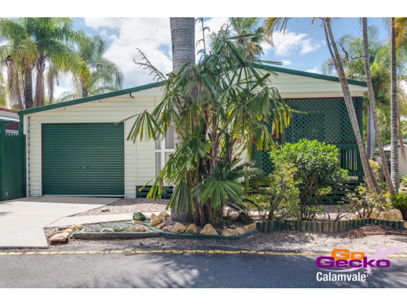 Golden Cane Dr/758 Blunder Road, Durack QLD 4077