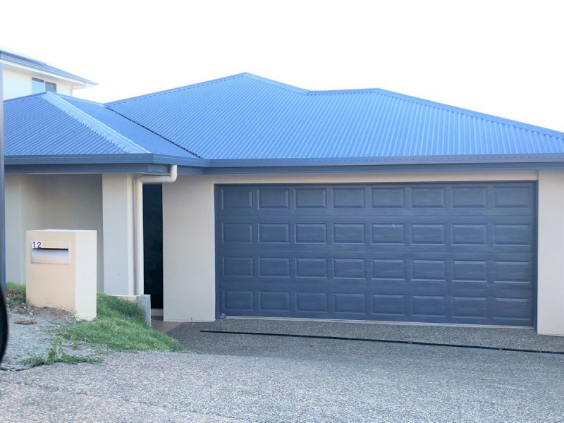 12 De Luchi Street, Carseldine QLD 4034