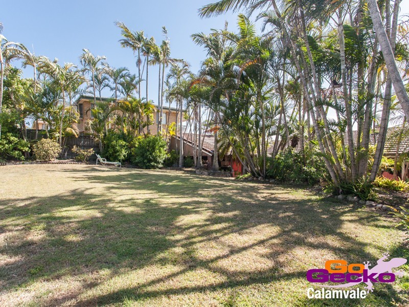 93 Jackson Road, Sunnybank Hills QLD 4109