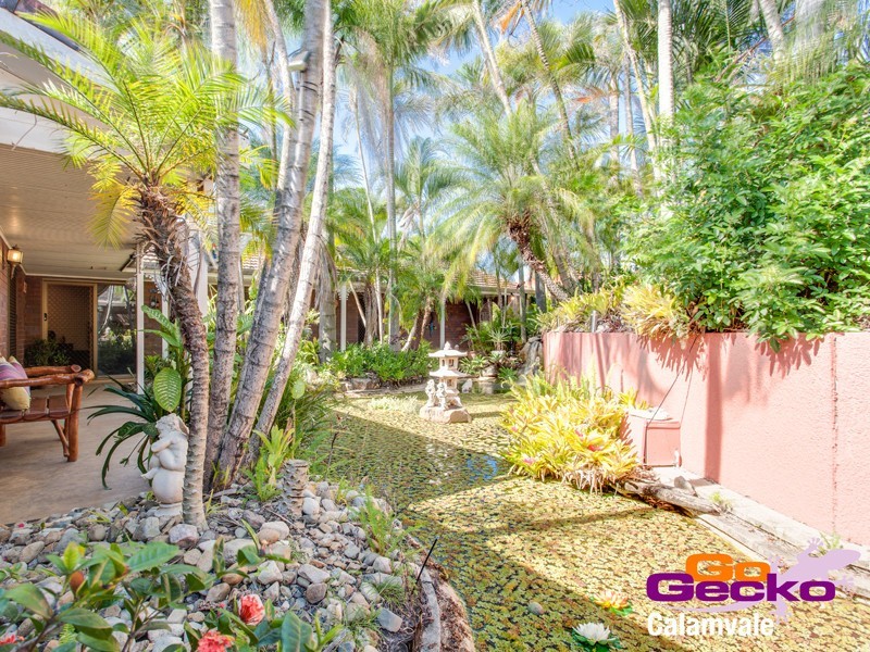 93 Jackson Road, Sunnybank Hills QLD 4109